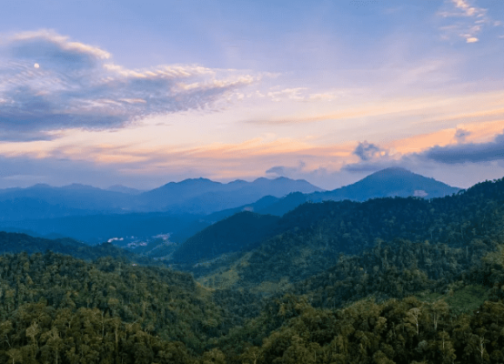 雲頂高原