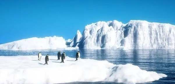 南極旅遊行程 南極旅遊行程