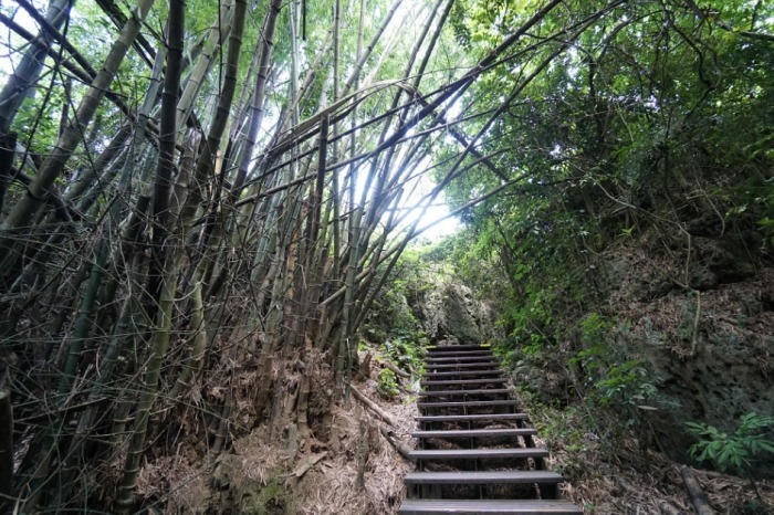 柴山