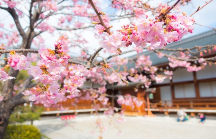 日本留學