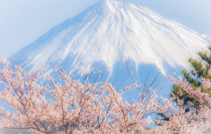 日本留學簽證申請