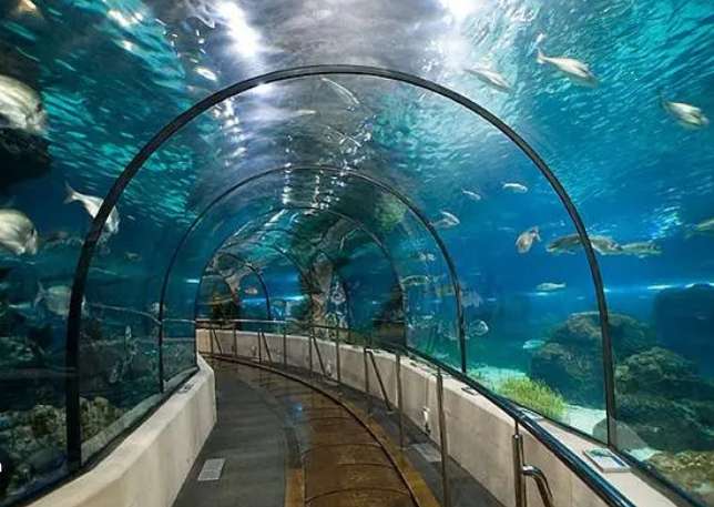 吉隆坡水族館門票 吉隆坡水族館門票