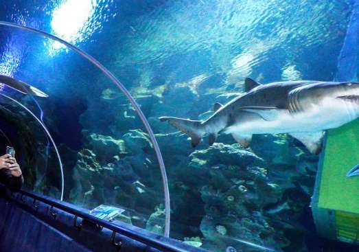 吉隆坡水族館門票