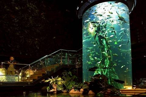 吉隆坡水族館入場費
