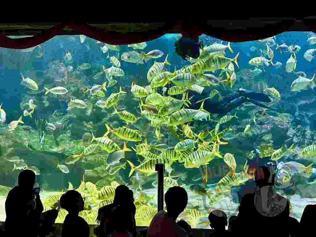 吉隆坡水族館交通 吉隆坡水族館交通